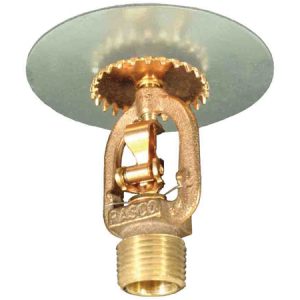 Storage Fire Sprinklers | Reliable Sprinkler