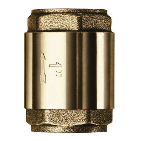 Product image for Spring Check Valve
