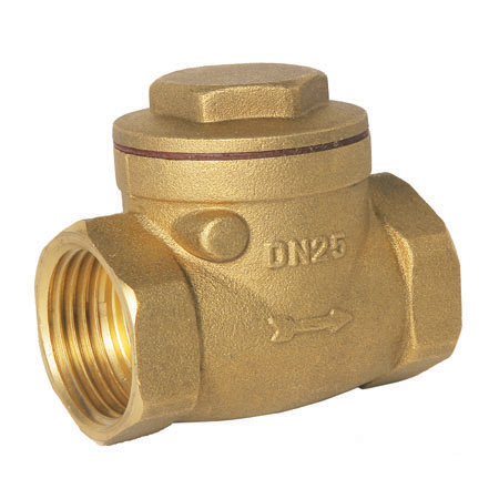 Product image for Swing Check Valve